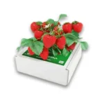 Чудо ягідниця казковий збір (полуниця) - Купити онлайн